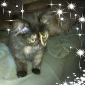 Meet your Posher, Sherri